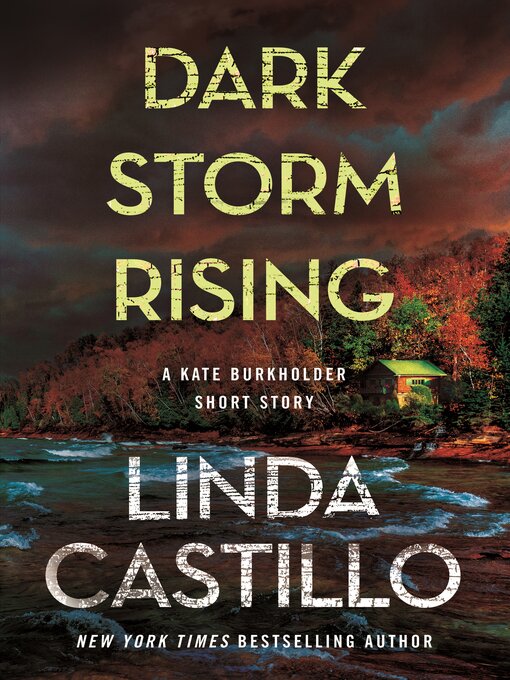 Title details for Dark Storm Rising by Linda Castillo - Wait list